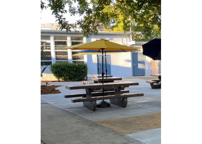 801 - Umbrella Stand