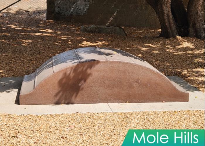 Mole Hills